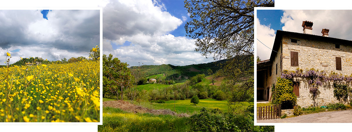 panorami collinari primaverili Vezzano sul Crostolo